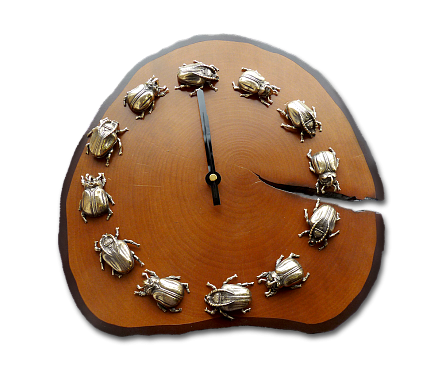 Настенные часы «Жуки» МЧ-11644