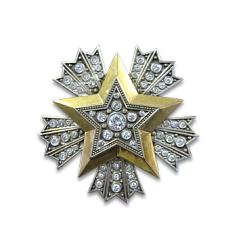 Орден Звезда