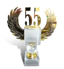 Приз «55 лет»