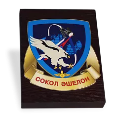 Диплом СОКОЛ ЭШЕЛОН